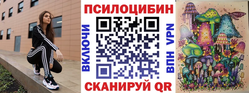 Псилоцибиновые грибы Cubensis где купить наркотик Томск